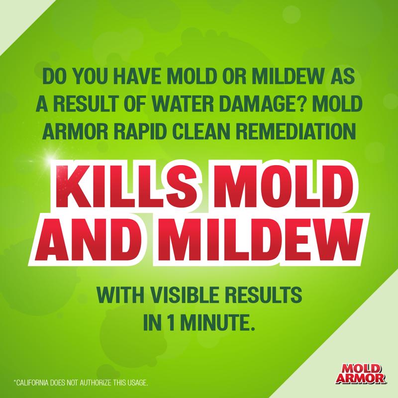 Mold Armor Mold and Mildew Remover 32 oz