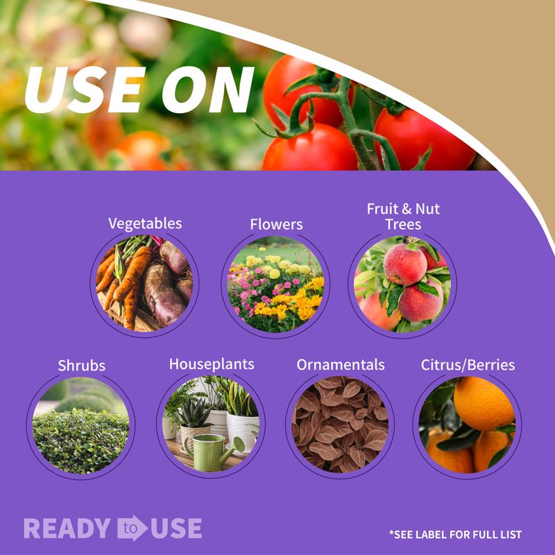 Bonide Insect Killing Soap Liquid 12 oz