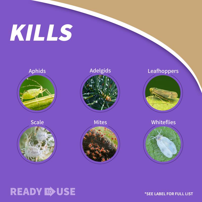 Bonide Insect Killing Soap Liquid 12 oz