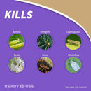 Bonide Insect Killing Soap Liquid 12 oz