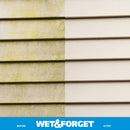 Wet & Forget Outdoor Cleaner 48 oz