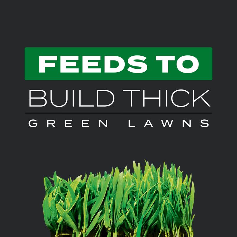 Scotts Turf Builder Triple Action Weed & Feed Lawn Fertilizer For Multiple Grass Types 12000 sq ft
