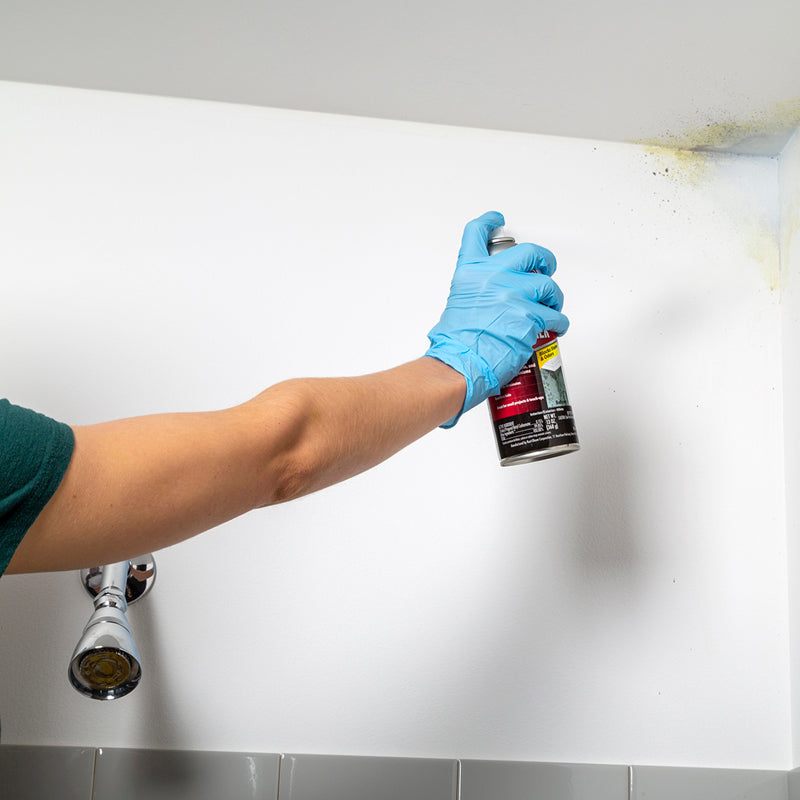 Zinsser Mold Blocking White Water-Based Alkyd Spray Primer 13 oz