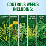 Roundup Weed Killer RTS Hose-End Concentrate 32 oz