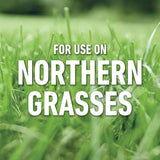 Roundup Weed Killer RTU Liquid 1 gal