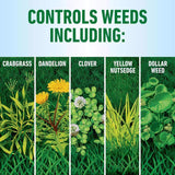 Roundup Weed Killer RTU Liquid 1 gal