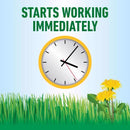 Roundup Weed Killer RTU Liquid 1 gal