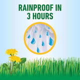 Roundup Weed Killer RTU Liquid 1 gal