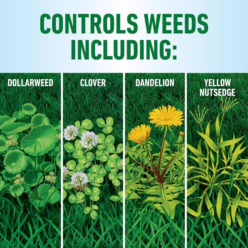 Roundup Weed Killer Concentrate 32 oz