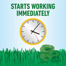 Roundup Weed Killer RTU Liquid 1 gal