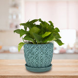 Trendspot Tribeca 7.3 in. H X 8.3 in. W X 8.3 in. D X 8 in. D Ceramic Planter Teal