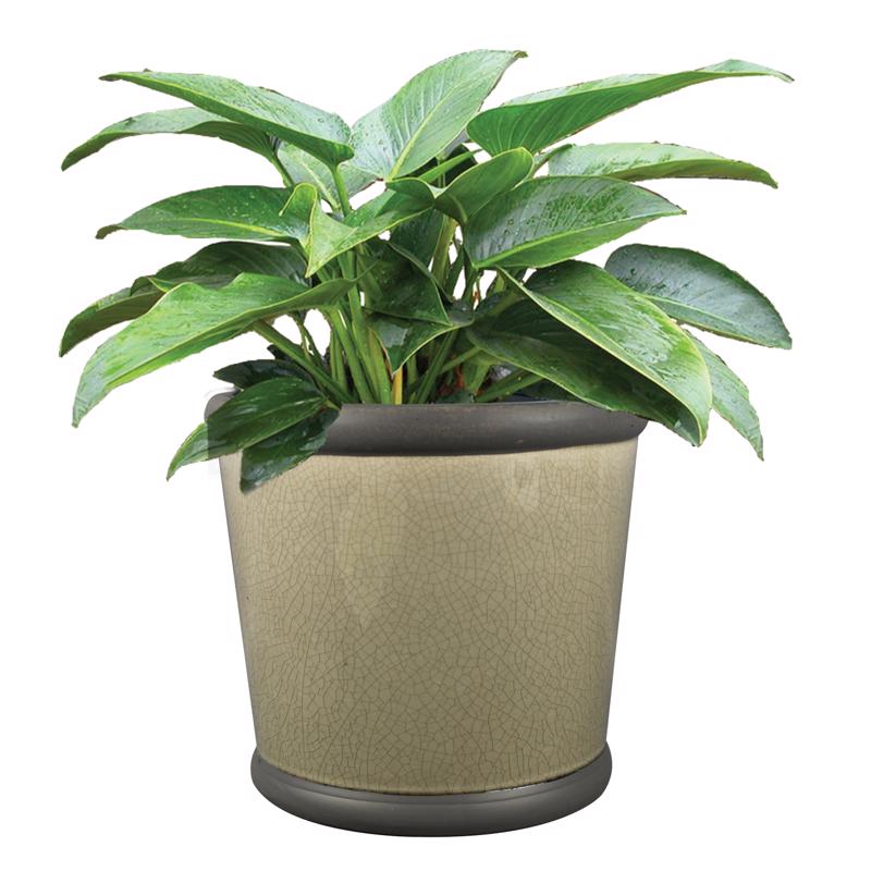 Trendspot Belleville 8.35 in. H X 9.2 in. W X 9.2 in. D X 9 in. D Ceramic Planter Gray