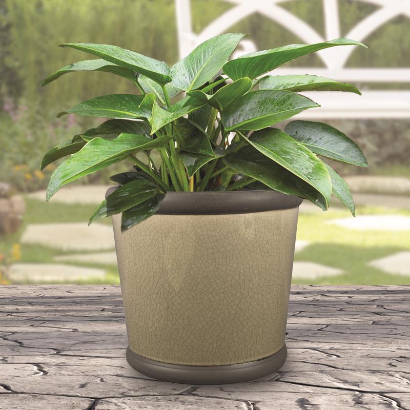 Trendspot Belleville 8.35 in. H X 9.2 in. W X 9.2 in. D X 9 in. D Ceramic Planter Gray