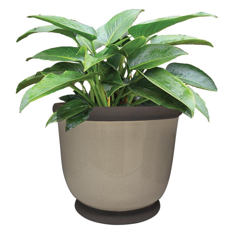 Trendspot Bellville 10.2 in. H X 11.9 in. W X 11.9 in. D X 12 in. D Ceramic Planter Gray