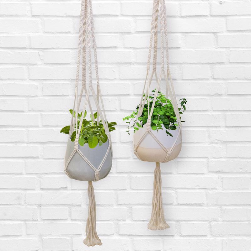 Trendspot Macrame 4.7 in. H X 5.7 in. W X 5.7 in. D X 5.5 in. D Ceramic Planter White