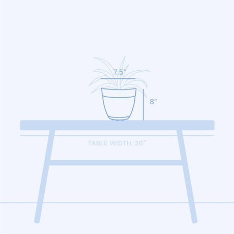 Bloem Dayton 7.5 in. H X 8 in. D Plastic Planter Ocean Blue