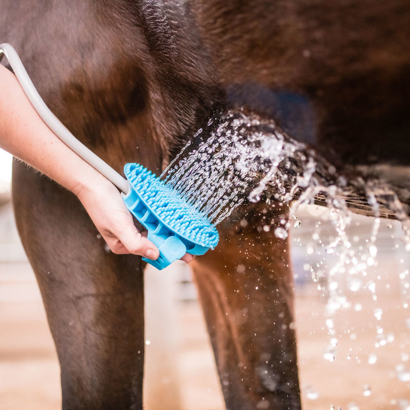 Aquapaw Grooming Brush For Horse