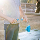 Aquapaw Grooming Brush For Horse