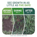 Pennington Smart Patch Mixed Sun or Shade Seed/Fertilizer/Mulch Repair Kit 5 lb