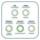 Pennington Smart Patch Mixed Sun or Shade Seed/Fertilizer/Mulch Repair Kit 5 lb