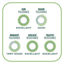 Pennington Smart Patch Tall Fescue Grass Sun or Shade Seed/Fertilizer/Mulch Repair Kit 5 lb