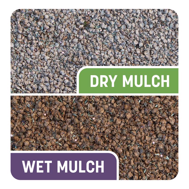 Pennington Smart Patch Mixed Dense Shade Seed/Fertilizer/Mulch Repair Kit 5 lb