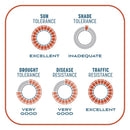 Pennington Smart Patch Bermuda Grass Full Sun Seed/Fertilizer/Mulch Repair Kit 5 lb