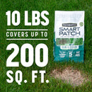 Pennington Smart Patch Mixed Sun or Shade Seed/Fertilizer/Mulch Repair Kit 10 lb