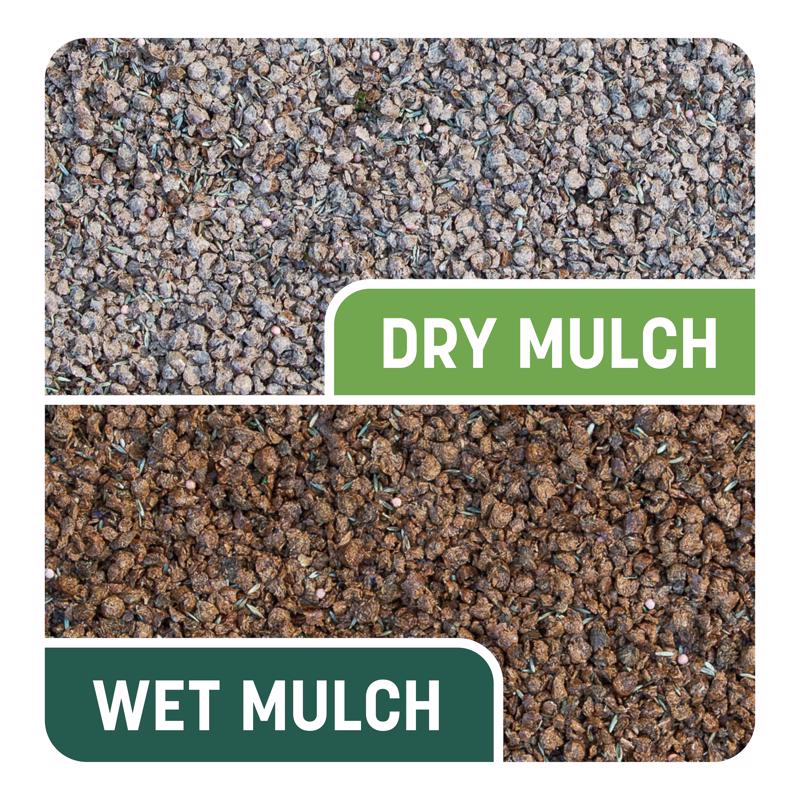 Pennington Smart Patch Mixed Sun or Shade Seed/Fertilizer/Mulch Repair Kit 10 lb