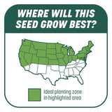 Pennington Smart Patch Mixed Sun or Shade Seed/Fertilizer/Mulch Repair Kit 10 lb