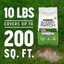 Pennington Smart Patch Tall Fescue Grass Sun or Shade Seed/Fertilizer/Mulch Repair Kit 10 lb