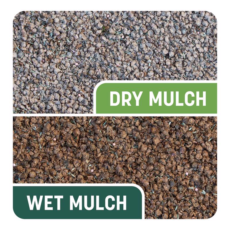 Pennington Smart Patch Tall Fescue Grass Sun or Shade Seed/Fertilizer/Mulch Repair Kit 10 lb