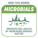 Pennington Smart Patch Tall Fescue Grass Sun or Shade Seed/Fertilizer/Mulch Repair Kit 10 lb