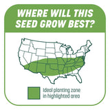 Pennington Smart Patch Tall Fescue Grass Sun or Shade Seed/Fertilizer/Mulch Repair Kit 10 lb