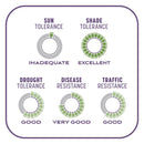 Pennington Smart Patch Mixed Dense Shade Seed/Fertilizer/Mulch Repair Kit 10 lb