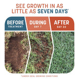 Pennington Smart Patch Bermuda Grass Full Sun Seed/Fertilizer/Mulch Repair Kit 10 lb