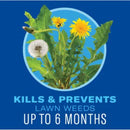 BioAdvanced Weed & Feed Lawn Fertilizer For All Grasses 10000 sq ft