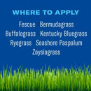 BioAdvanced Weed & Feed Lawn Fertilizer For All Grasses 10000 sq ft