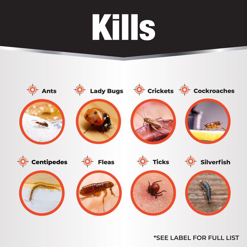 Bonide House Guard Ant and Roach Killer Foam 15 oz