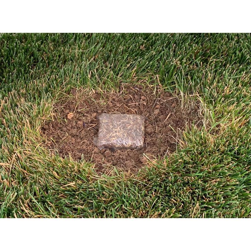 Ace Rapid Repair Pod Tall Fescue Grass Sun or Shade Fertilizer/Mulch/Seed 15 oz