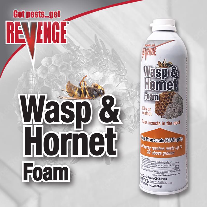Bonide REVENGE Wasp and Hornet Killer Foam 15 oz