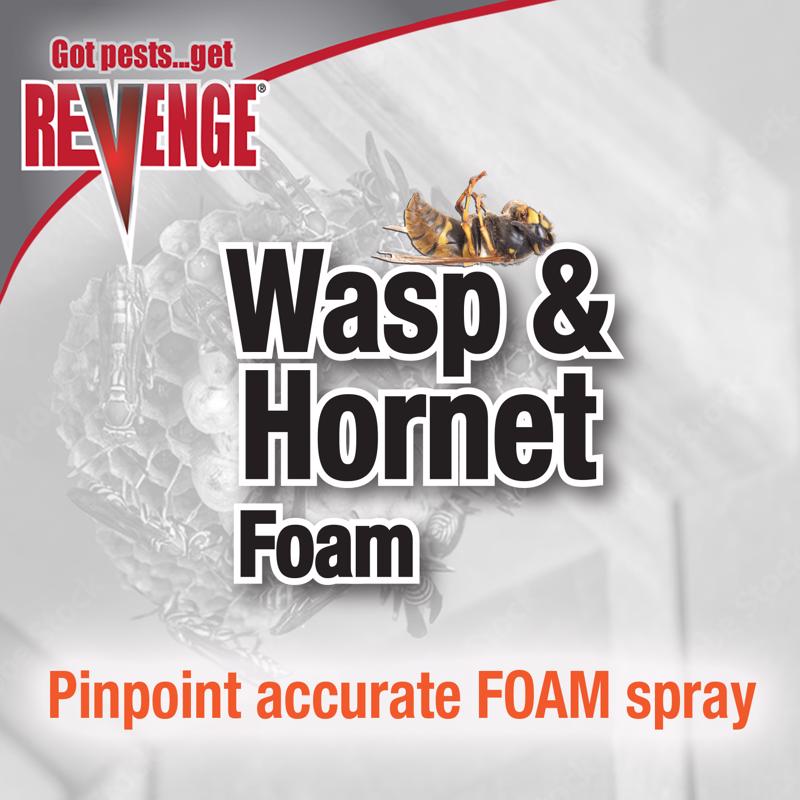 Bonide REVENGE Wasp and Hornet Killer Foam 15 oz