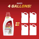 Ortho Home Defense Insect Killer Concentrate 32 oz