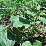 Garden Craft 24 in. H X 50 ft. L Galvanized Steel Poultry Netting 2 in.