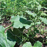 Garden Craft 48 in. H X 50 ft. L Galvanized Steel Poultry Netting 2 in.