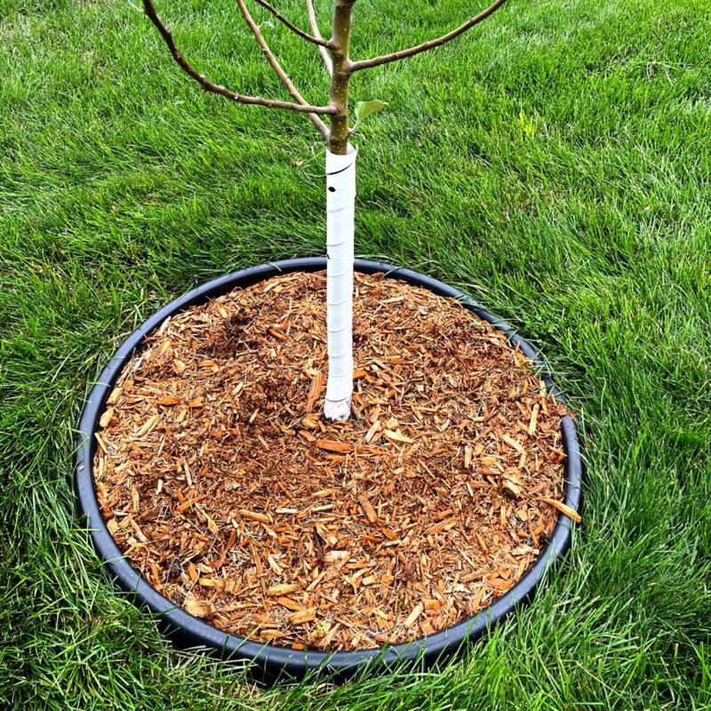 Master Mark Treemaster 24 in. H White Plastic Spiral Tree Protector