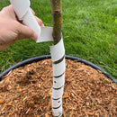 Master Mark Treemaster 24 in. H White Plastic Spiral Tree Protector