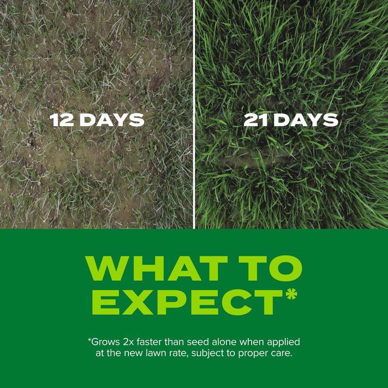 Scotts Turf Builder Rapid Grass Mixed Sun or Shade Grass Seed and Fertilizer 5.6 lb