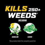 Ortho WeedClear Weed Killer RTS Hose-End Concentrate 32 oz