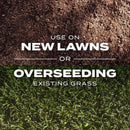 Scotts Turf Builder Rapid Grass Tall Fescue Grass Sun or Shade Grass Seed and Fertilizer 16 lb